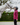 Women's Varsha Jacket | Plum