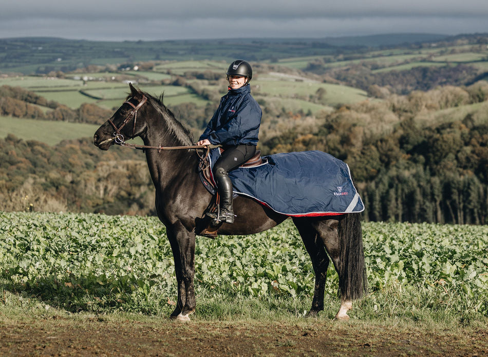 equidry exercise sheet navy/raspberry on horse in field
