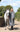 EQUIDRY waterproof horse riding raincoat All Rounder Original thick fleece Women's Charcoal/Grey full view rider stood with horse