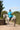 EQUIDRY Evolution Lux Women's Warm Waterproof Winter Horse Riding Coat Thick Fleece Lining with Faux Fur Trim Hood rider on horse side view 