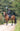 EQUIDRY women's long waterproof horse riding coat in black/peacock pink shown by rider out hacking on horse
