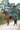 EQUIDRY women's long waterproof horse riding coat in black forest green/green modelled by rider hacking on horse