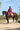 EQUIDRY women's long waterproof horse riding coat in plum/charcoal worn by on horse showing storm skirts and side zips