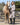 Children's Water Repellent Base Layer | Sand
