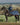 equidry exercise sheet navy/raspberry on horse in field 