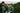 Black Forest Green EQUIDRY Equimac long waterproof raincoat worn by young horse rider and older man