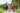 EQUIDRY waterproof horse riding raincoat | All Rounder Original Women's | valerian group shot with horses
