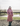 EQUIDRY chestnut Equimac long waterproof lightweight rain coat worn by horse rider 
