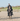 EQUIDRY men's mesh lining long waterproof horse riding coat in rich brown/cream