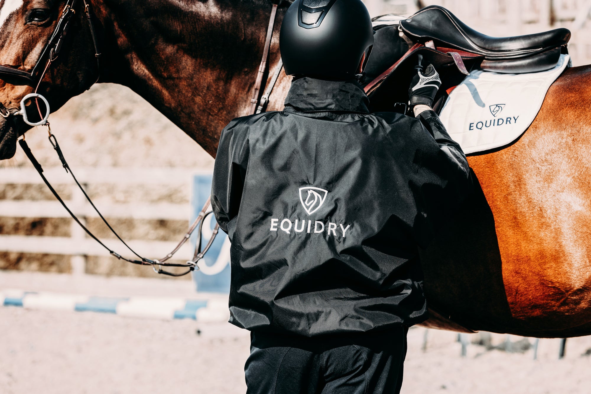 EQUIDRY men's waterproof short blouson style horse riding jacket in black with horse in arena