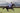 EQUIDRY women's long waterproof horse riding coat in blue lilac/grey showing rider galloping on horse
