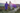 EQUIDRY women's long waterproof horse riding coat in deep purple/lilac with horse wearing matching exercise sheet