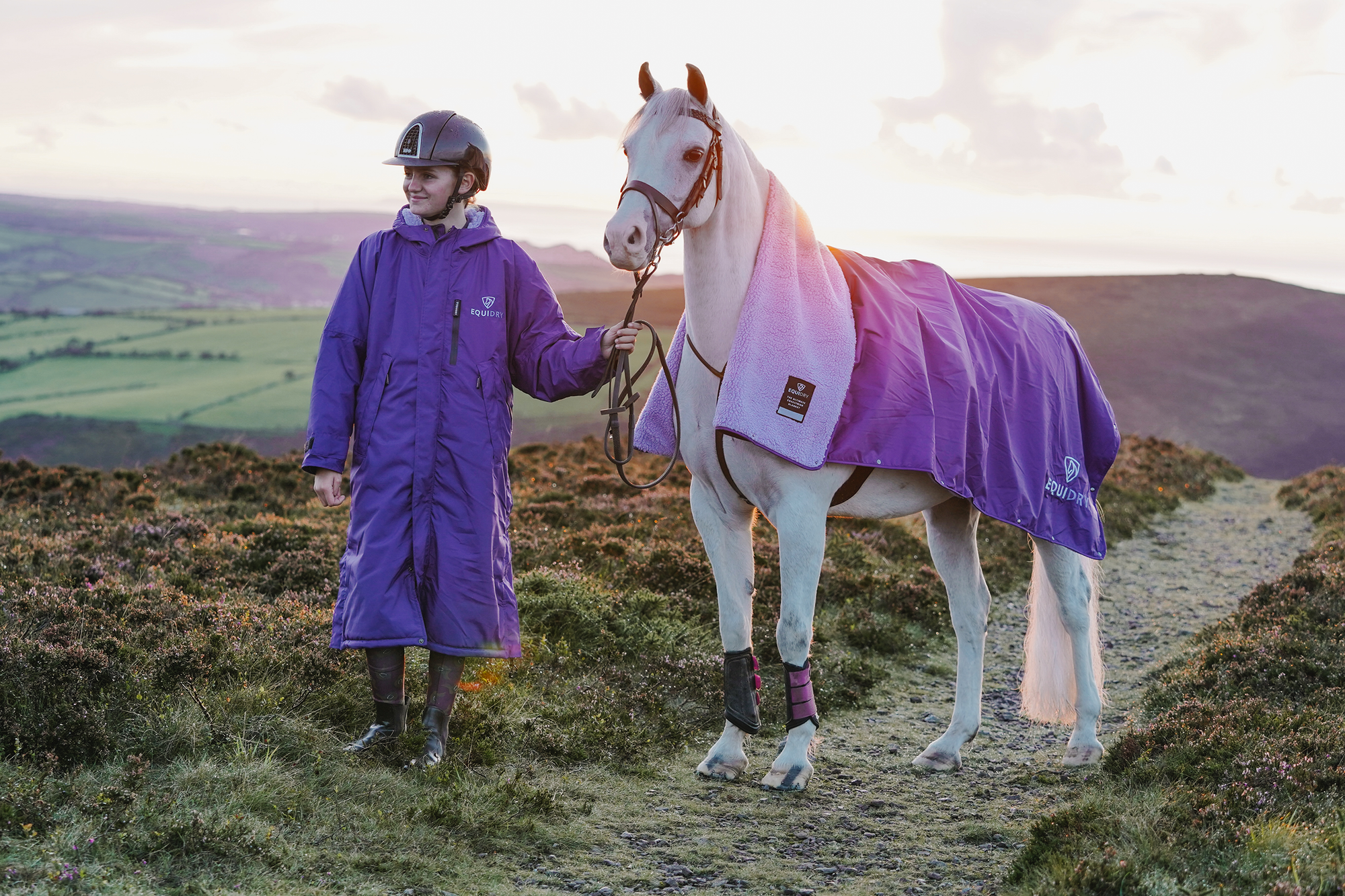 EQUIDRY women's long waterproof horse riding coat in deep purple/lilac with horse wearing matching exercise sheet